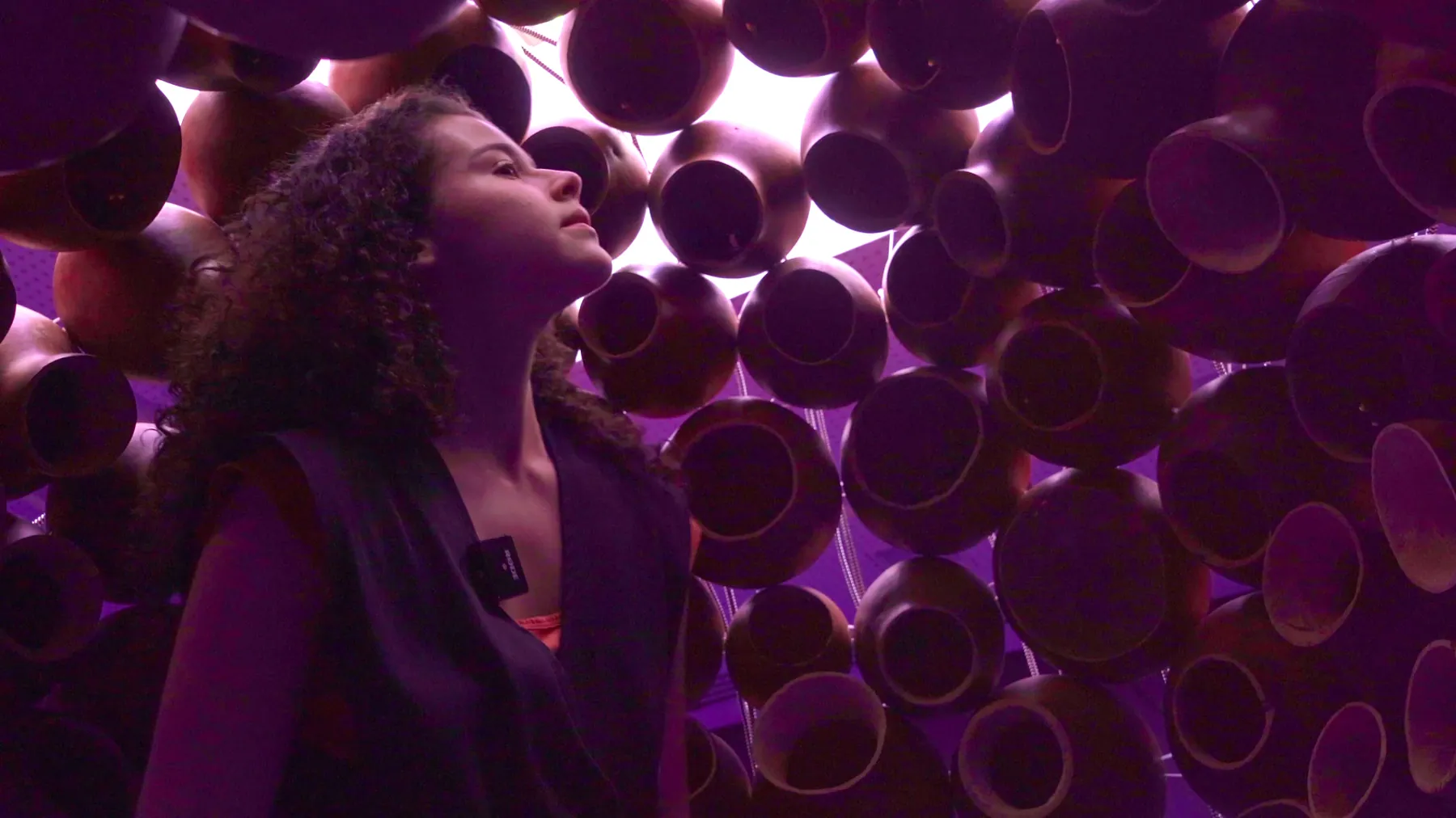 13ª Bienal do Mercosul — 1