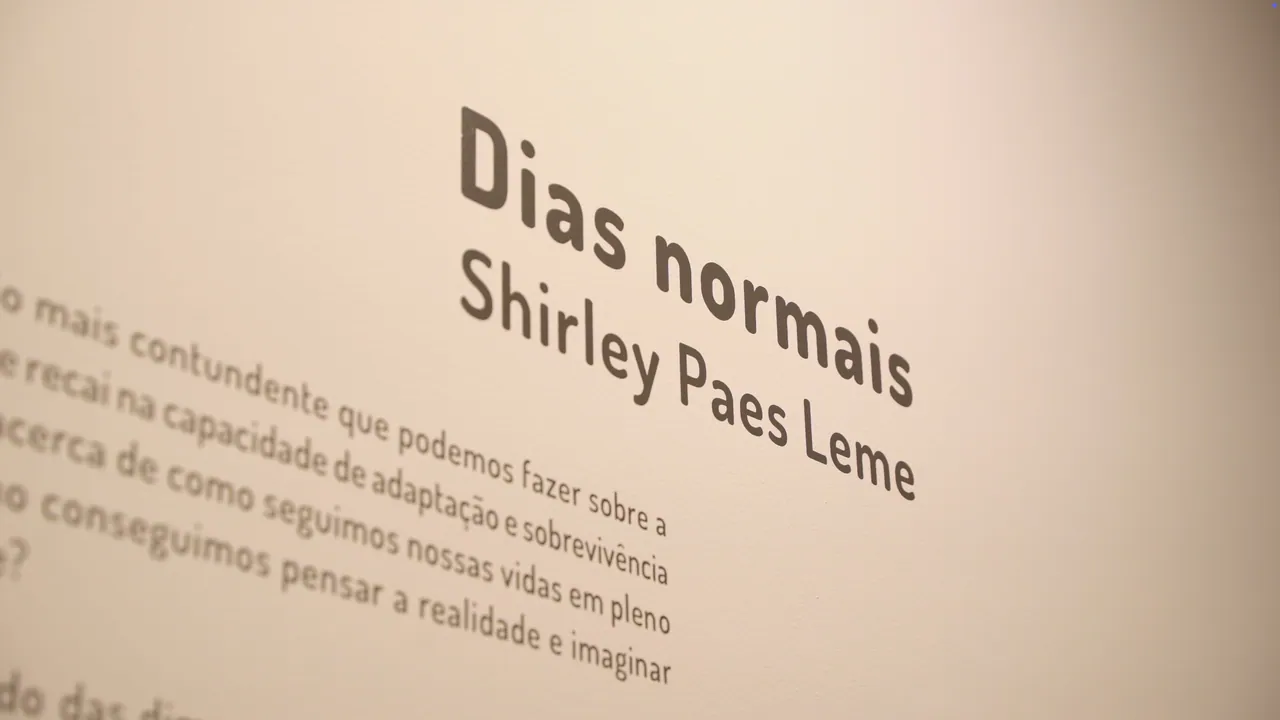 Dias Normais - Shirley Paes Leme — 20