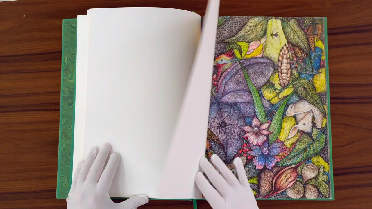 Livro Verde - Michel Zózimo — 8
