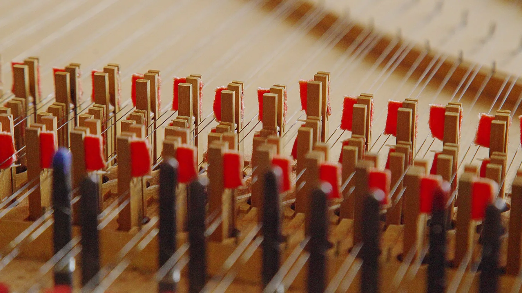 O Cravo – Instrumentos de Bach — 1