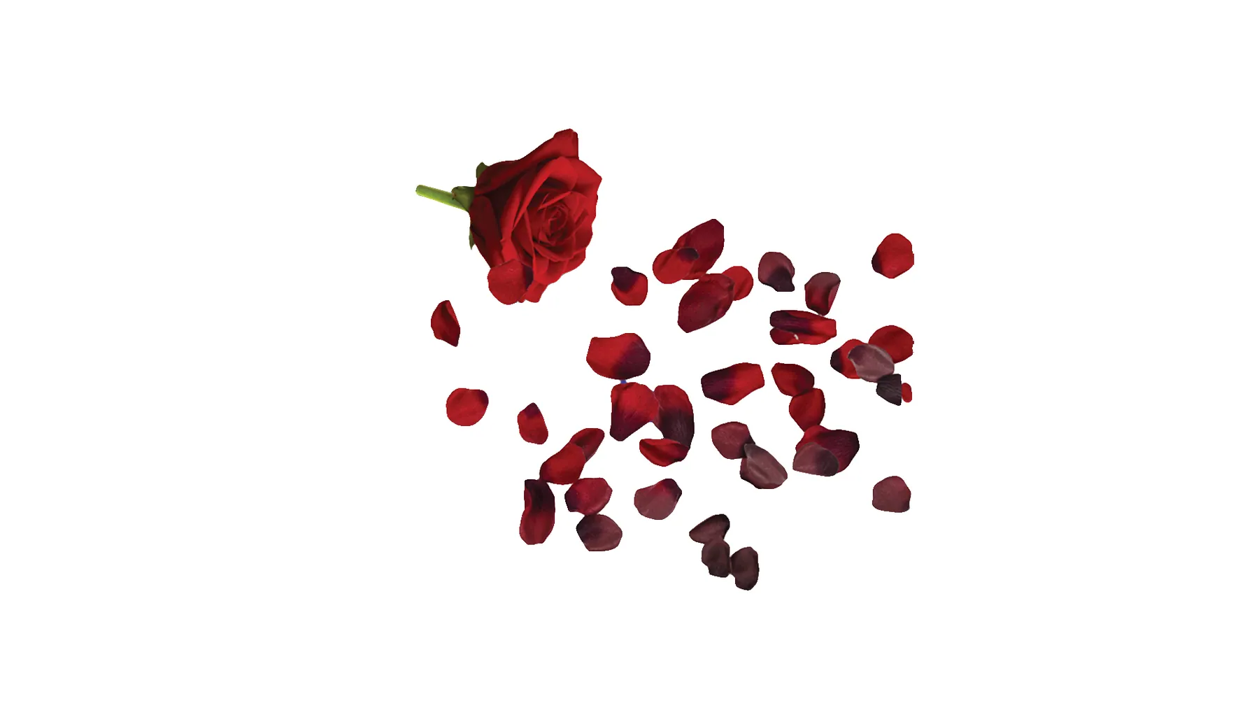Operita Violoncelo — 4