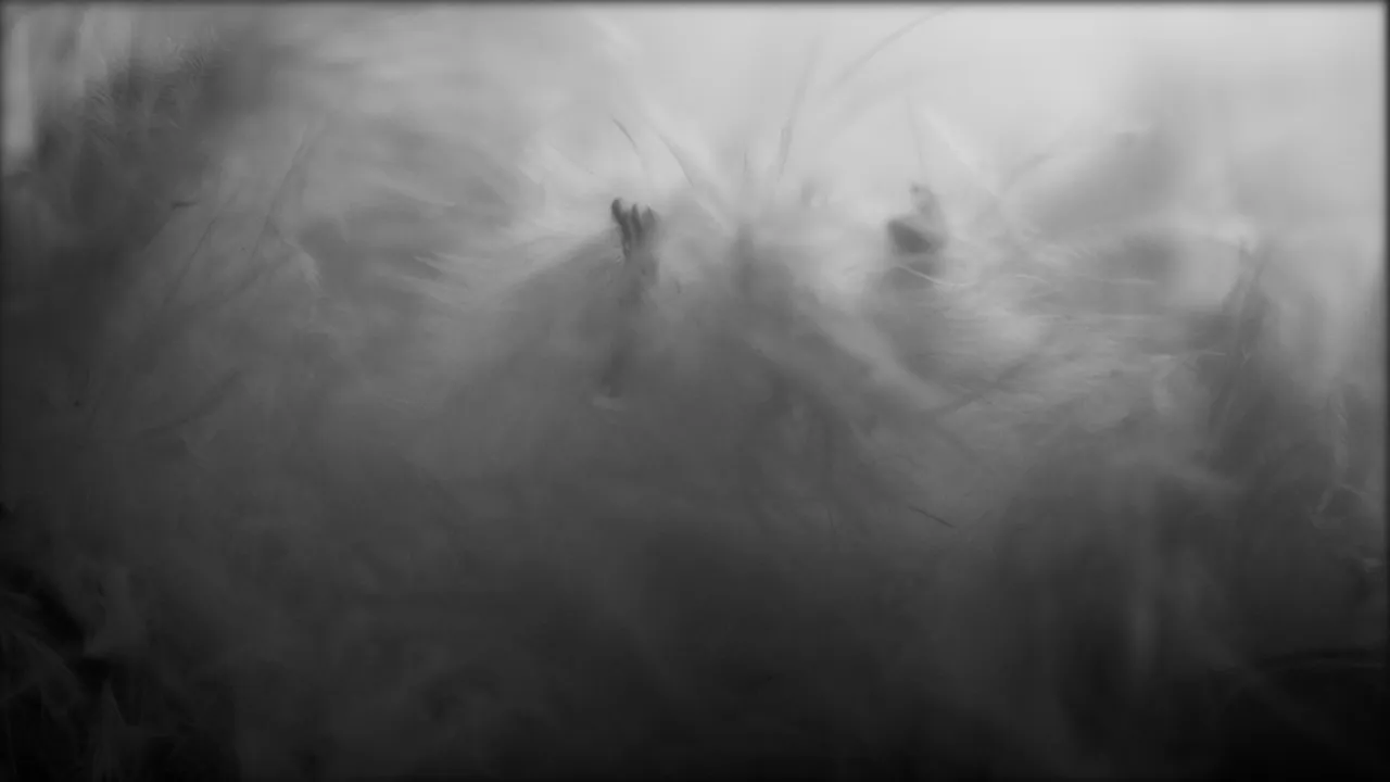 TERATOMA — 10